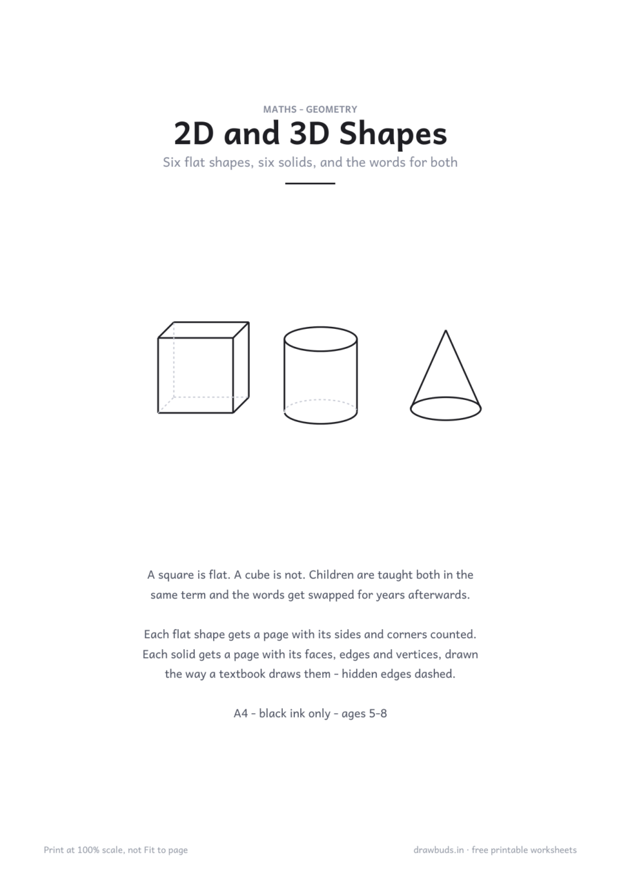2D and 3D Shapes Worksheets — printable PDF page preview